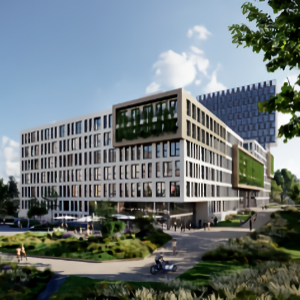 Seed, Frankfurt/Main